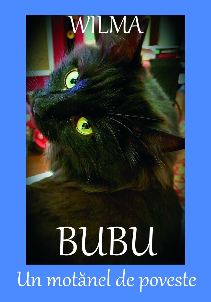 Bubu: Un motănel de poveste