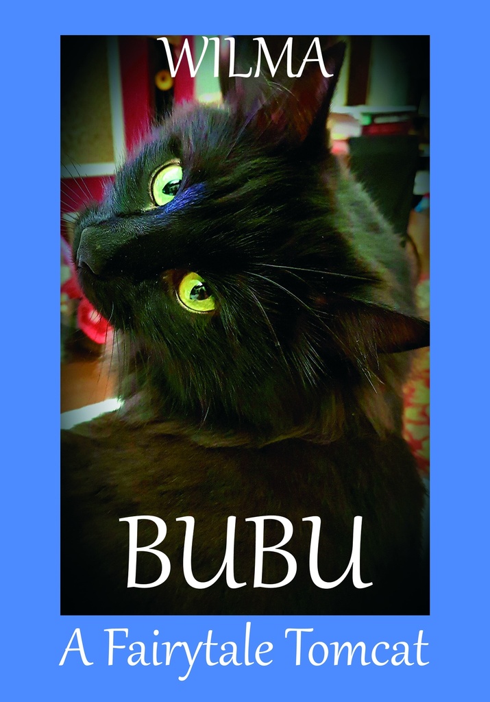 Bubu: a Fairytale Tomcat