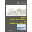 [978-606-700-084-9] Între perfectul simplu și perfectul compus