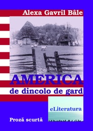 [978-606-700-258-4] America de dincolo de gard.