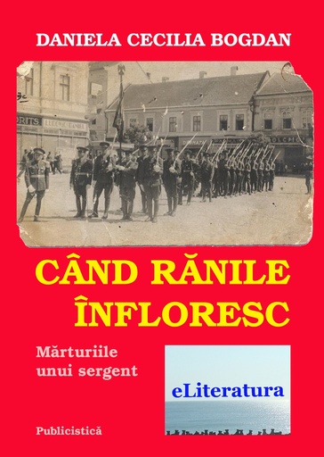 [978-606-700-246-1] Când rănile înfloresc. Mărturiile unui sergent. Publicistică